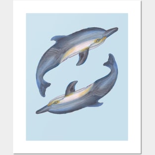 dolphin fish swim water ocean aquatic cetacean whale underwater animal Posters and Art